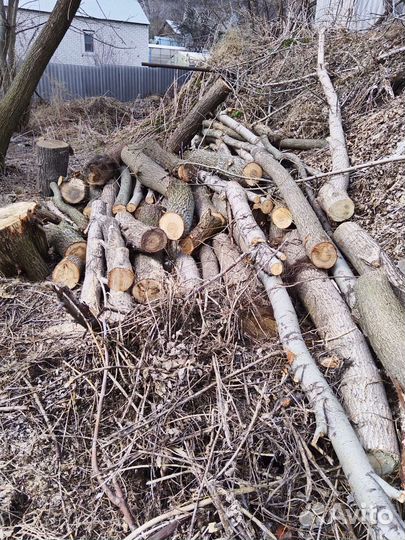 Дрова бесплатно самовывоз