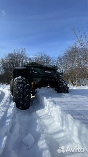 Снегоболотоход