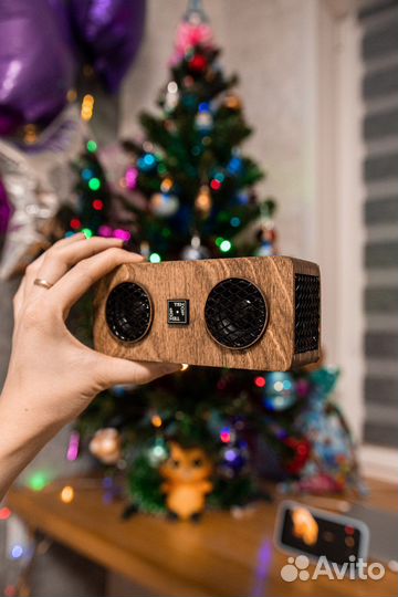 Портативная колонка «Тенор» Bluetooth