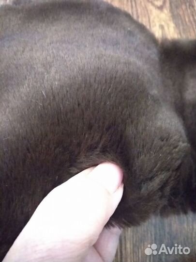 Мех кусочки