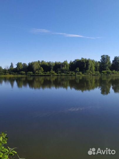 Платная рыбалка
