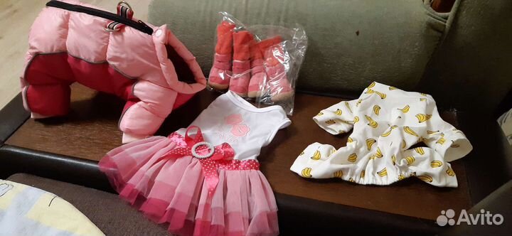 Одежда для маленьких собак s