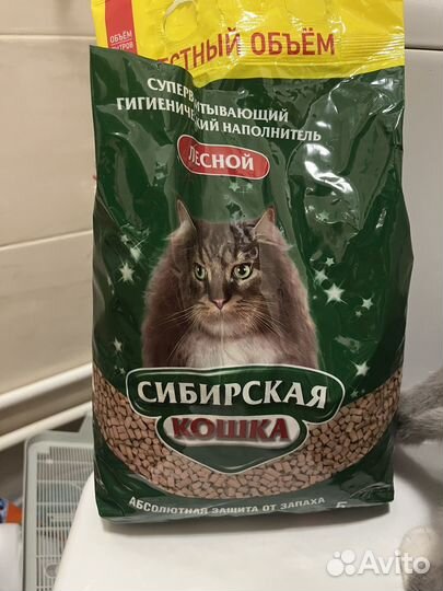 Наполнитель для кошачьего туалета древесный