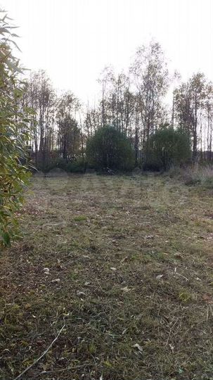 Участок 12 сот. (СНТ, ДНП)