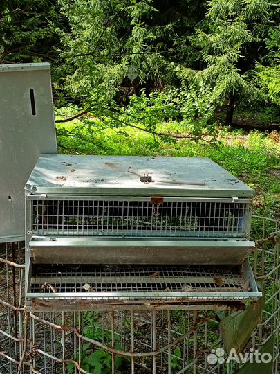 Клетка для перепелов несушек 