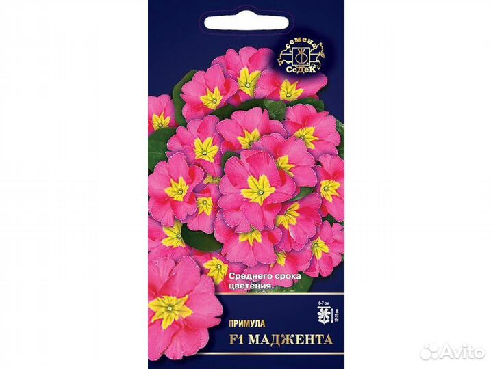 Семена примулы Бесплатная доставка