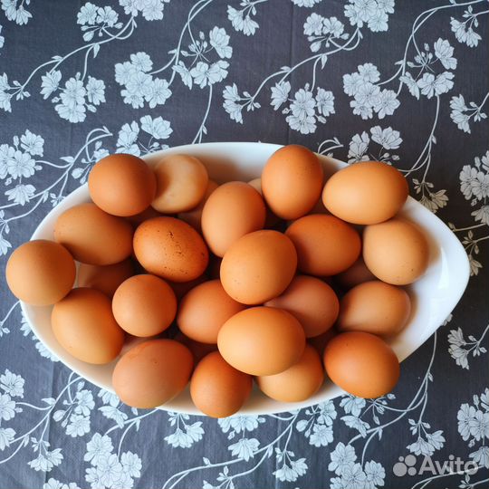 Домашние куриные яйца