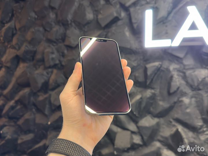 iPhone 12 Pro Max, 256 ГБ