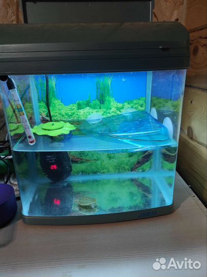 Аквариум