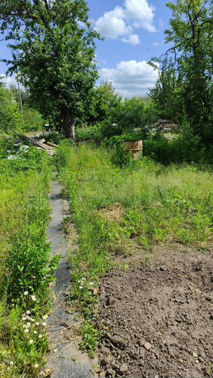 Дача 30 м² на участке 3 сот.