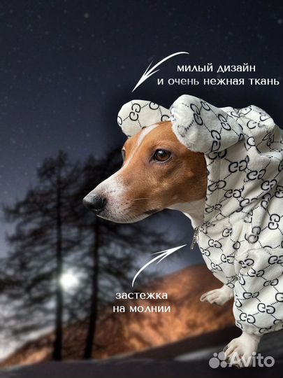 Толстовка для собак gucci худи свитшот свитер