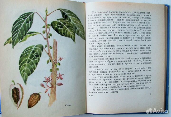 Приходько С. Лечебница на подоконнике