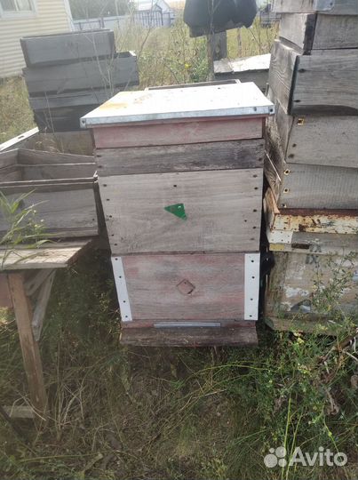 Улей для пчел бу
