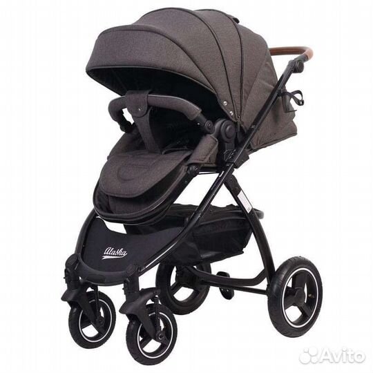 Коляска 2 в 1 Rant Alaska