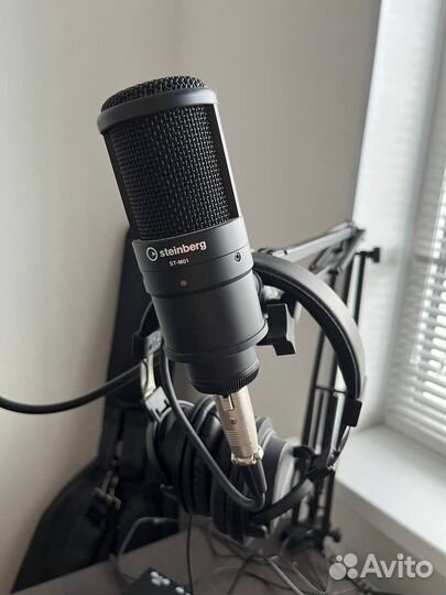 Steinberg ur22c полный набор для записи