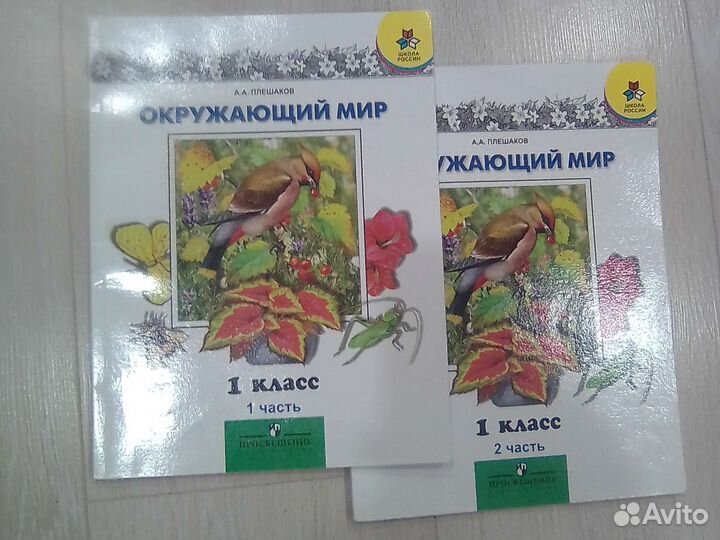 Окружающий мир 1 класс