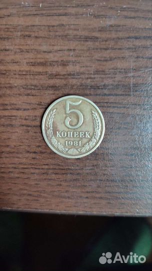 Монета 5 копеек 1981 года