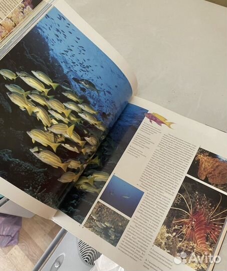 Книга Дайвинг