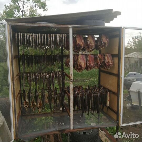 Вобла вяленая(бесплатно) слабой соли с икрой