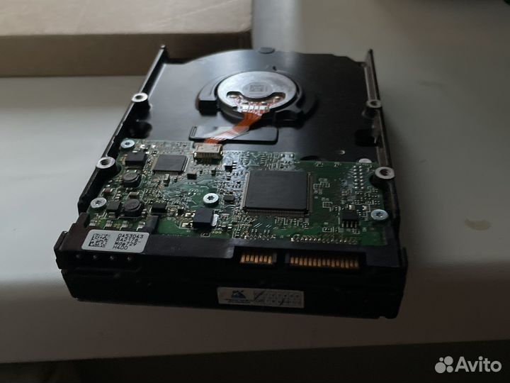 Жесткий диск 500 гб для пк