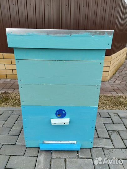 Улей 12 рам +2магазина