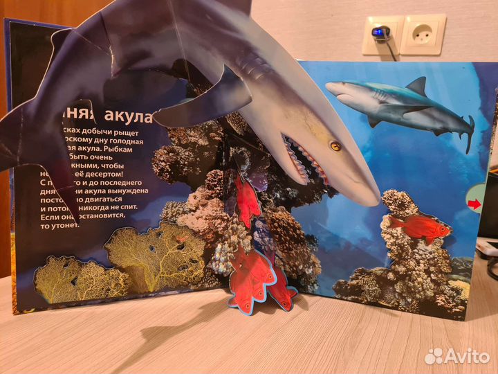 Книга звуки живой природы