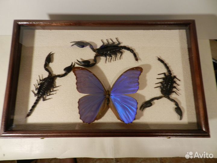 Шкатулка для украшений