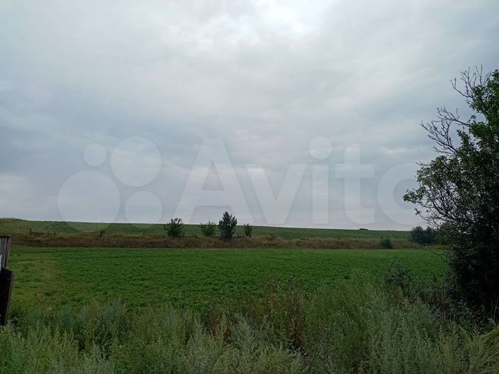 Участок 55 сот. (ИЖС)