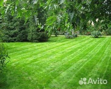 Гидропосев