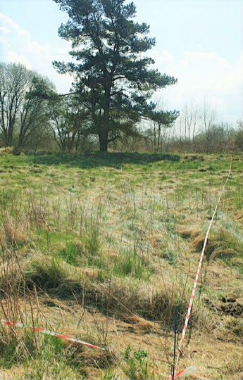 Участок 5 сот. (ИЖС)