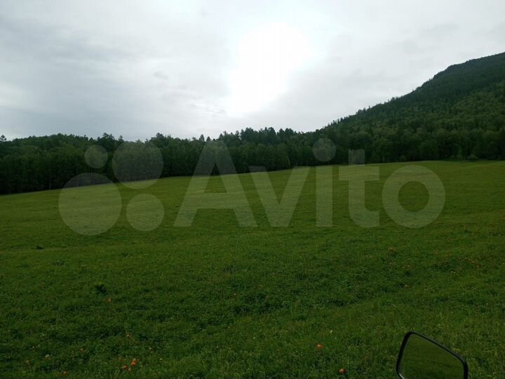 Участок 4,2 га (СНТ, ДНП)