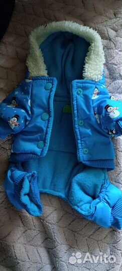 Вещи для собаки мелких пород