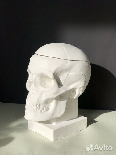 Кашпо гипсовое Череп