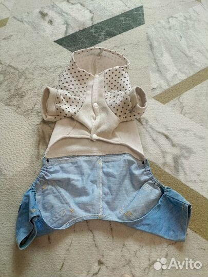 Костюм для средней собаки