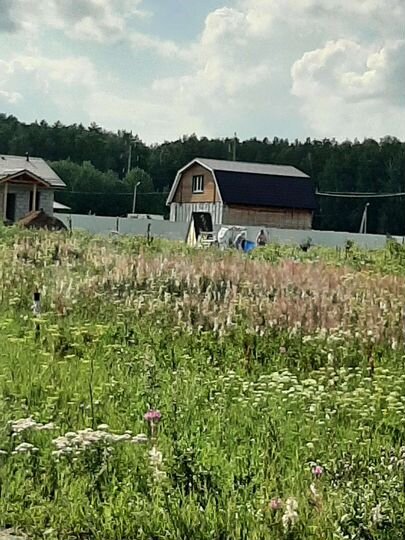 Участок 12 сот. (СНТ, ДНП)