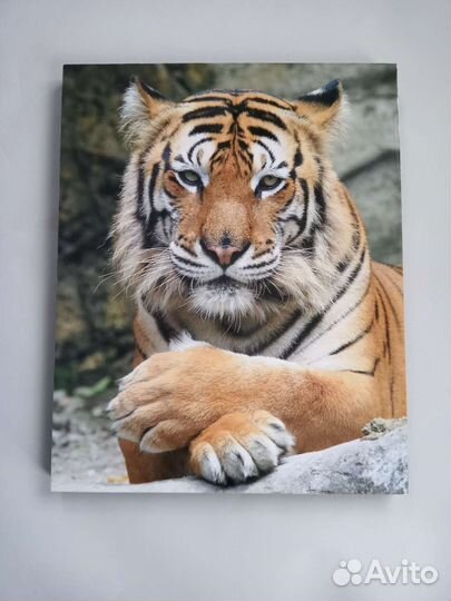 Постер не IKEA