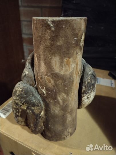 Кап березовый