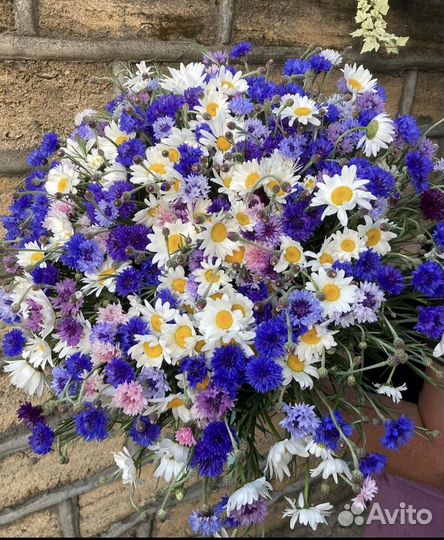 Букеты из василька и ромашки