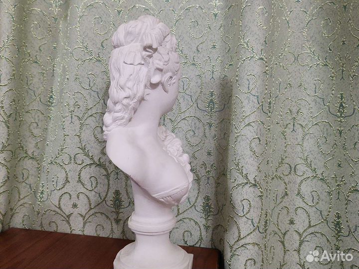Бюст гипсовый