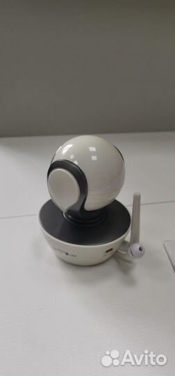 Видеоняня motorola