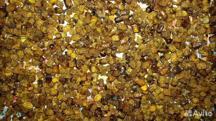 Мёд личная пасека забрус, перга, прополис, соты