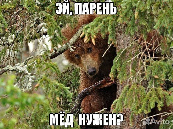 Деревенский мёд