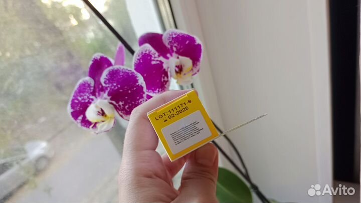 Крем Medela Purelan (Медедела Пурлеан)