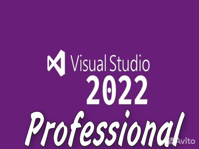 Microsoft Visual Studio 2022 Professional