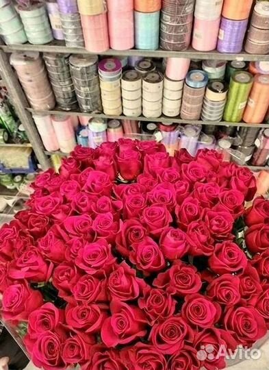 Высокие Розы с Доставкой