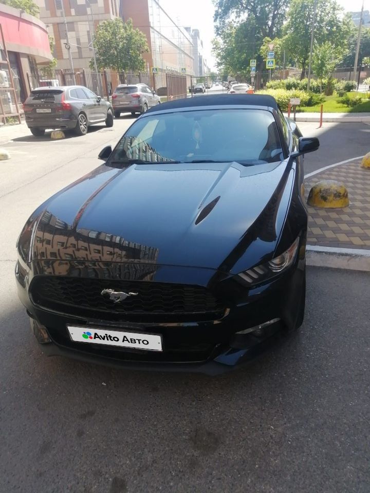 Ford Mustang: фото владельца