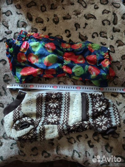 Комбинезон для таксы