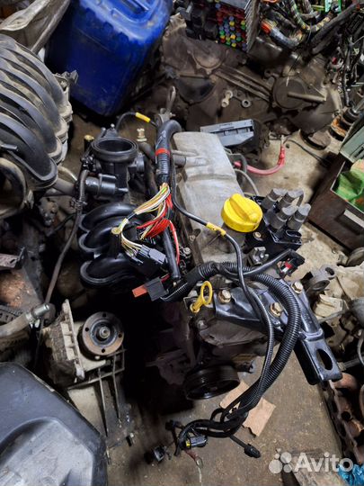 Двигатель Рено Логан 1.4