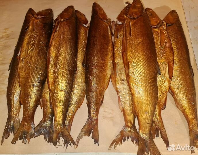 Байкальская рыба