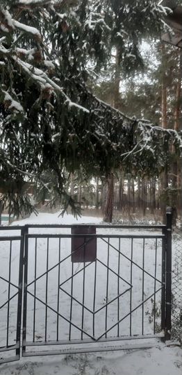 Дом 44 м² на участке 32 сот.